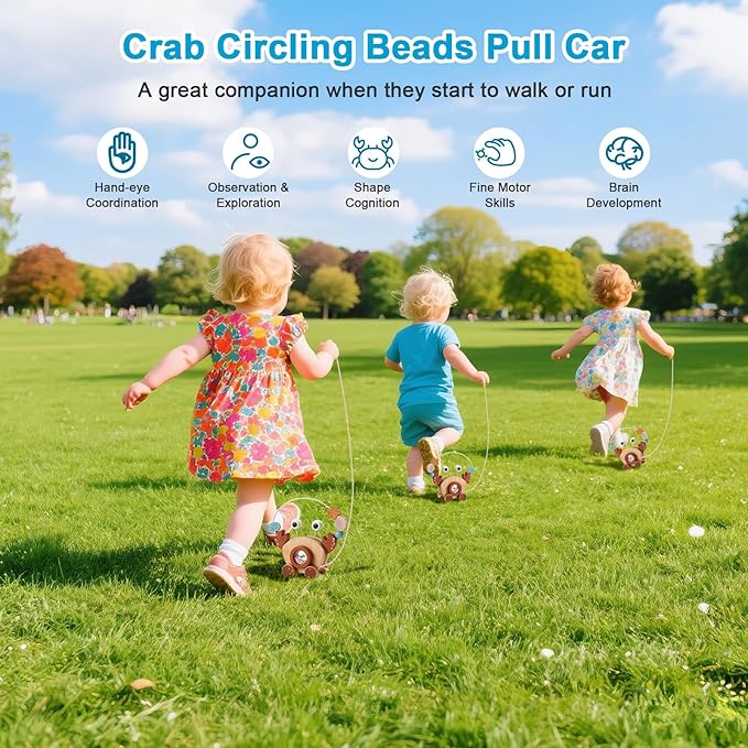 Pull Along Walking Toys. Wooden Crab Push and Pull Toy with Bead Maze, Wire Roller Coaster. Montessori Early Development Toy for Babies and Toddlers