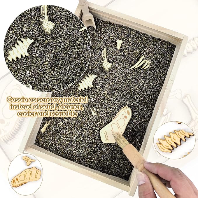 Xylolin Dinosaur Excavation Archaeology Dig Kit for Kids, Fossil Explore Sensory Bin Toys, Dino Skeletons Bones Puzzle Game, Archaeology Science STEM Toys for Boys and Girls (Tyrannosaurus)