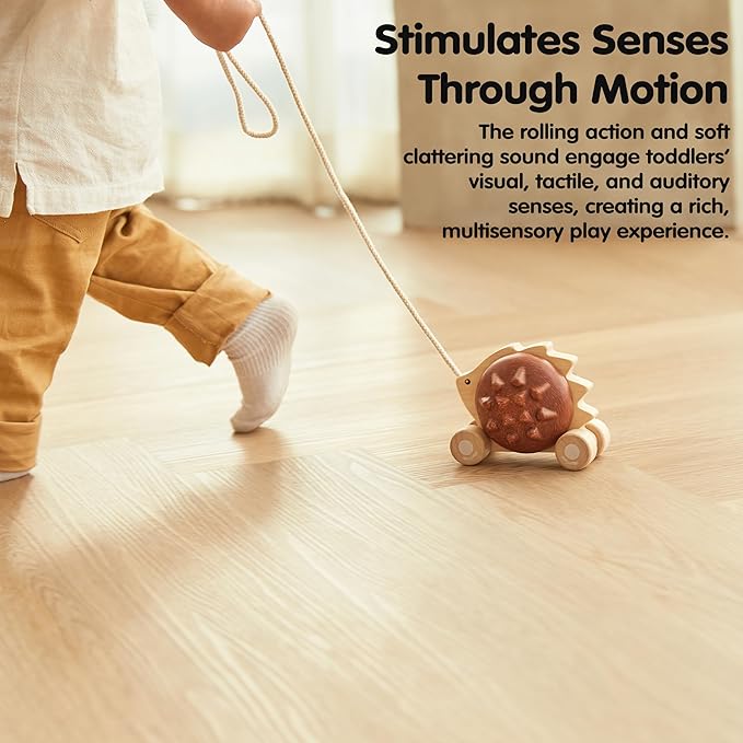 PlanToys Pull Along Hedgehog – Brown (5274)