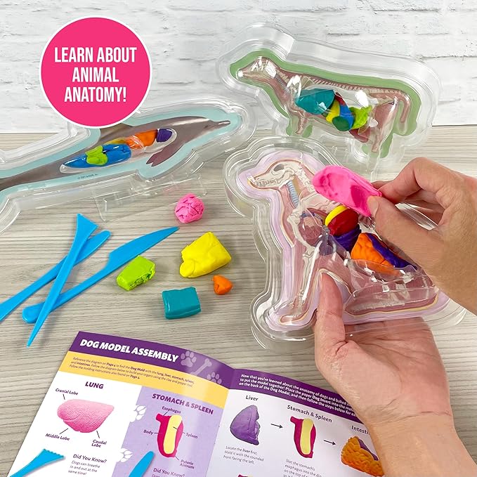 ArtSkills Epic Lab Vet Kit for Kids, Animal Anatomy Science Kit for Kids 8+ with Modeling Clay