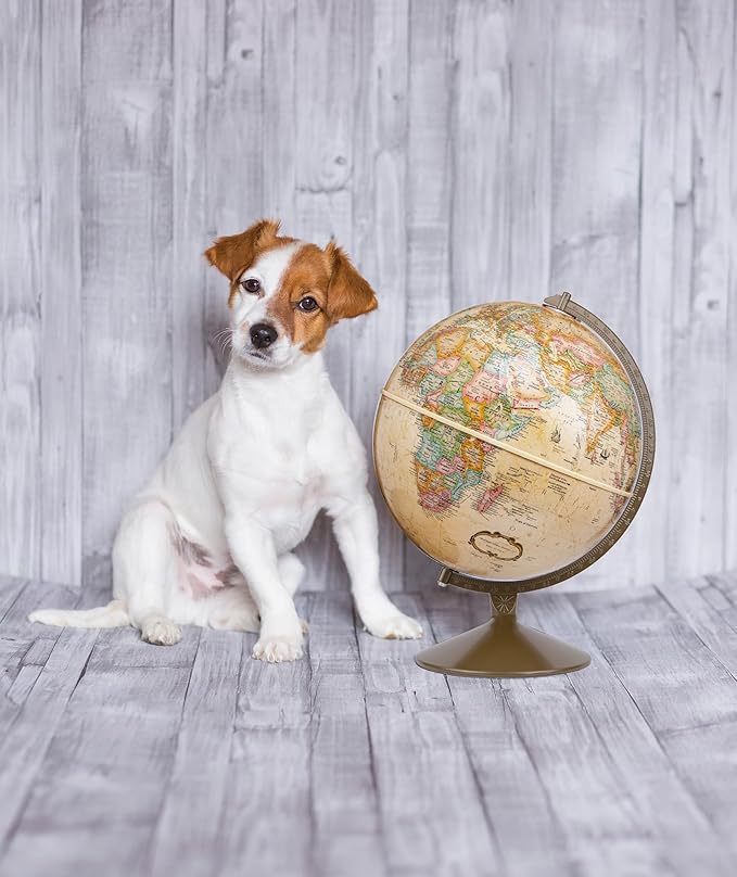 Replogle Globes Franklin World Globe, Antique Ocean, 12-Inch Diameter, Raised Relief (3-Dimensional Relief of Major Mountain Ranges). This Easy to assemble globe features over 4000 place names including political borders and provincial borders, shippin...