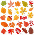 MARFOREVER 25 PCS Fall Window Gel Clings, Reusable Autumn Maple Leaves Thick Gel Clings Decals Thanksgiving Window Stickers for Kids Classroom Toddlers Home Party Supplies Window Glass Decorations