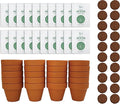 BUZZY Seeds Terracotta Mini Grow Pots | Herb, Plant, Flower Starter Kit for Kids & Adults | Assorted 20-Pack, | Lavender Seeds Guaranteed to Grow | Indoor Grow Your Own Plant Gardening Gift