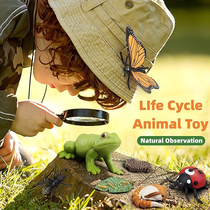 Montessori Life Cycle Animal Figures with Flash Cards, Realistic Animal Figurines Toy, Educational Matching Game for 3+ Year Old Toddlers Kids (Plant)