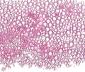 Iridescent Glass Tiny Bubble Beads, 0.4-3mm 10g No Hole Micro Mini Round Purple Pink Water Droplets Beads - Applications: for Resin Filler, Nail Art, Dollhouse Bath Tub