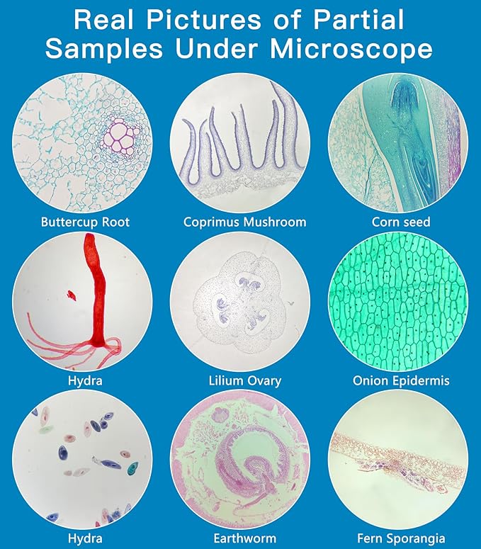 Microscope Slides with Specimens for Kids, 60 Lab-Grade Prepared Microscope Slides, Animal/Plant/Microbe/Tissue Samples, STEM Biology Kit for Homeschool, Classroom Labs & Science Education