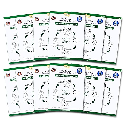 Insect Lore Budding Entomologist Activity Journals | 12 Journal Classpack | Ages 3-8 | Class Set of STEM Learning Booklets
