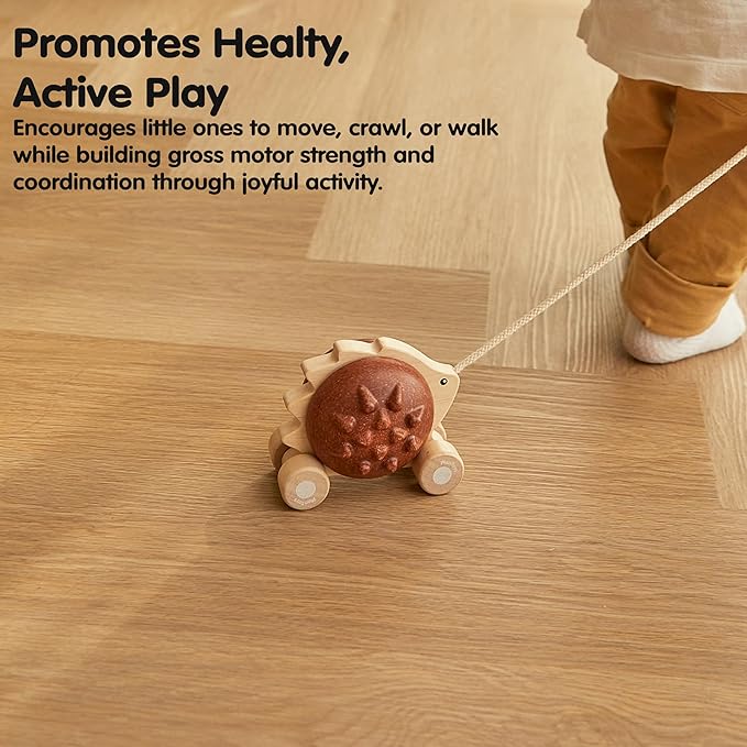 PlanToys Pull Along Hedgehog – Brown (5274)