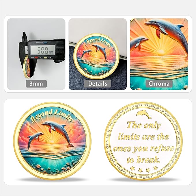 Sober Coin Beyond Limits Inspirational Dolphin Sobriety Coin Motivational Recovery Medallion Coin (Sunrise Dolphin)