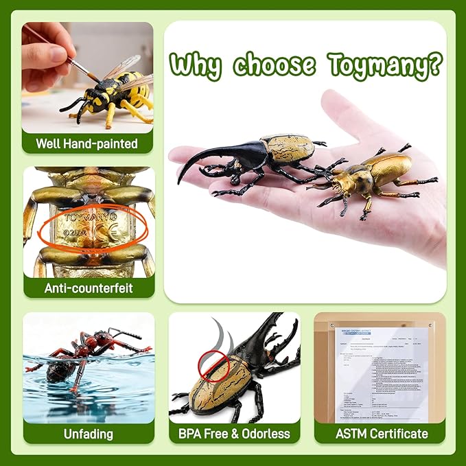 Toymany 12PCS Realistic Insects Figurines Toys - Plastic Bugs Figures Set with Cricket Bee Ant Dung Beetle, Educational Toy Cake Toppers Christmas Birthday Gift for Toddlers Kids