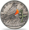 Hope Eagle Sobriety Coin Celebrating Recovery and Personal Growth with AA HA Chips and Medallions for Alcoholics Anonymous Ideal Sobriety Gifts for Women and Men