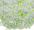 Iridescent Glass Tiny Bubble Beads, 0.4-3mm 10g No Hole Micro Mini Round Green Water Droplets Beads - Applications: for Resin Filler, Nail Art, Dollhouse Bath Tub