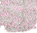 Iridescent Glass Tiny Bubble Beads, 0.4-3mm 10g No Hole Micro Mini Round Gray Pink Water Droplets Beads - Applications: for Resin Filler, Nail Art, Dollhouse Bath Tub