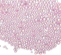 Iridescent Glass Tiny Bubble Beads, 0.4-3mm 10g No Hole Micro Mini Round Lilac Water Droplets Beads - Applications: for Resin Filler, Nail Art, Dollhouse Bath Tub