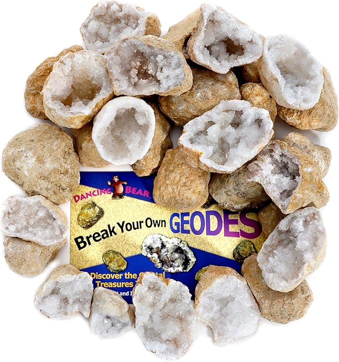 DANCING BEAR 25 Break Your Own Geodes, (Medium 1-1.5") 90% Hollow, Crack Open & Discover Amazing Surprise Crystals Inside! Educational Info and Instructions Included, Fun Party Favors & Prizes