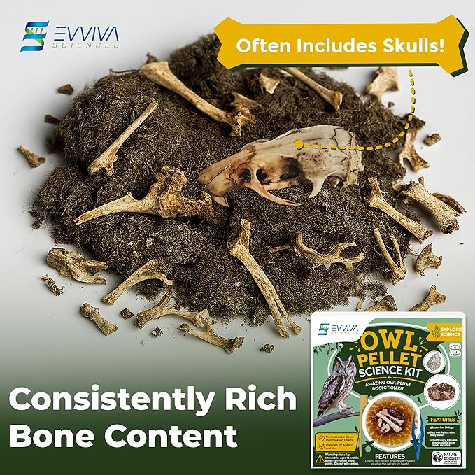 ES EVVIVA SCIENCES Owl Pellet Kit - Dissect 15 Mostly Small Real Owl Pellets w/Tools & PDF Bone Charts - Science Education Kit for Ages 15+ - Hands-On Animal Biology Science Lab Activity