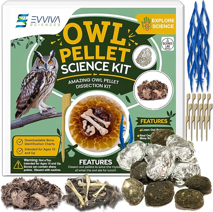 ES EVVIVA SCIENCES Owl Pellet Kit - Dissect 15 Mostly Small Real Owl Pellets w/Tools & PDF Bone Charts - Science Education Kit for Ages 15+ - Hands-On Animal Biology Science Lab Activity