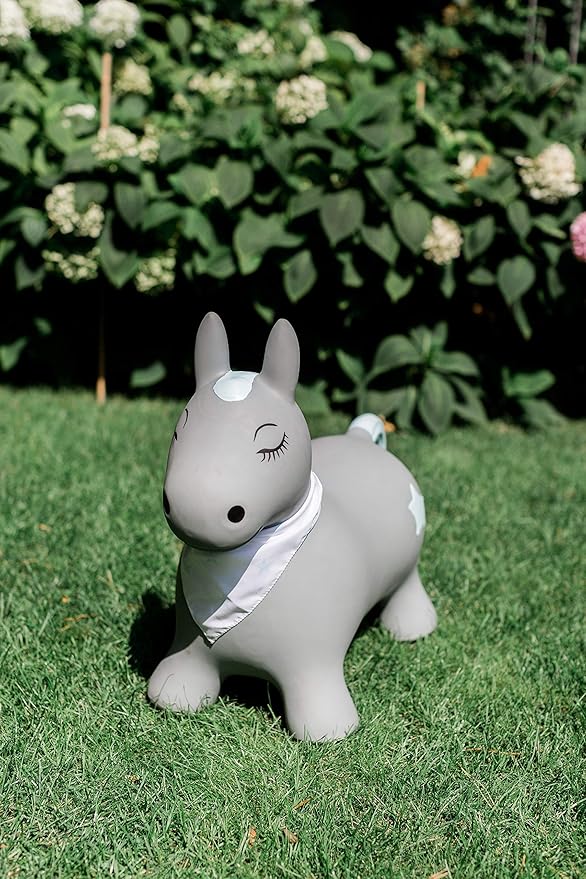Kindsgut Bouncy Animal Hopper Pony for Children, Designed in Germany, Playful and Modern Colors, air Pump Included, Indoors and Outdoors