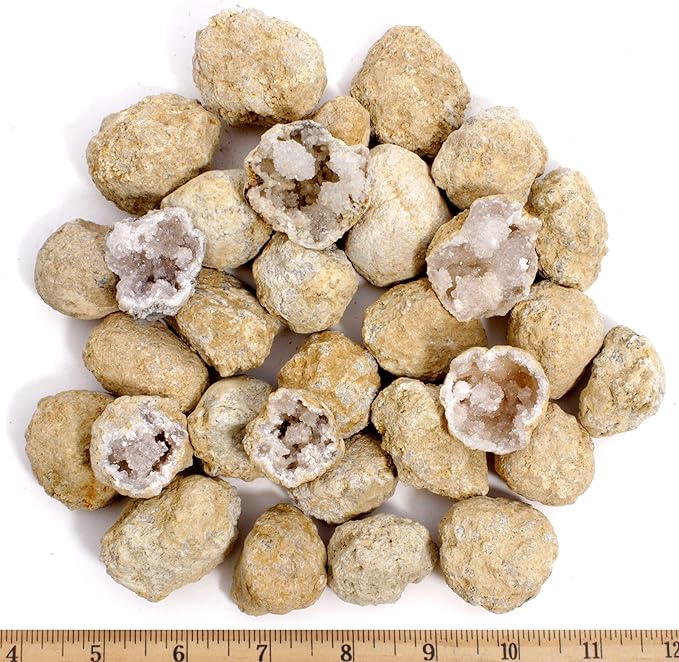 DANCING BEAR 25 Break Your Own Geodes, (Medium 1-1.5") 90% Hollow, Crack Open & Discover Amazing Surprise Crystals Inside! Educational Info and Instructions Included, Fun Party Favors & Prizes