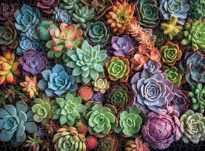 Cross & Glory - Succulent Symphony - 1000 Piece Jigsaw Puzzle for Adults | Premium Quality | Colorful Artwork Puzzle | 1000 Piece Succulent Puzzle