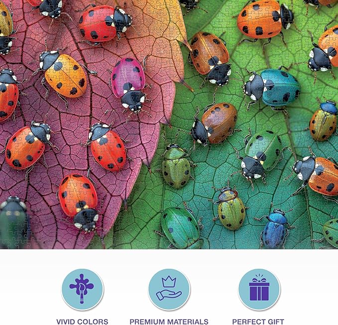 Cross & Glory - The Ladybug Rainbow - 1000 Piece Jigsaw Puzzle for Adults | Vibrant Nature Puzzle | Colorful and Relaxing Puzzle Challenge