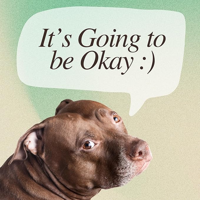 CATCHYOURDREAMS Dogs for Comfort - 50 Inspirational Affirmations and Positive Activities for Healing and Peace - Stress Relief and Mindfulness Grief Dog Bereavement Sympathy gift for Women and Men