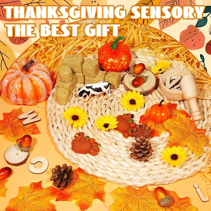 Hiawbon Thanksgiving Sensory Bin Kits, Fall Sensory Bin Fillers, Maple Leaves Pumpkins Pine Cones Sensory Box for Thanksgiving Fall Decor Birthday
