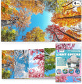 Fluorescent Light Covers for Ceiling Lights - 4 Seasons Magnetic Cover for Fluorescent Or LED Fixture - Must Haves Teacher Supplies - Classroom, Home, Office Cubicle Decor - Filters Overhead Lighting